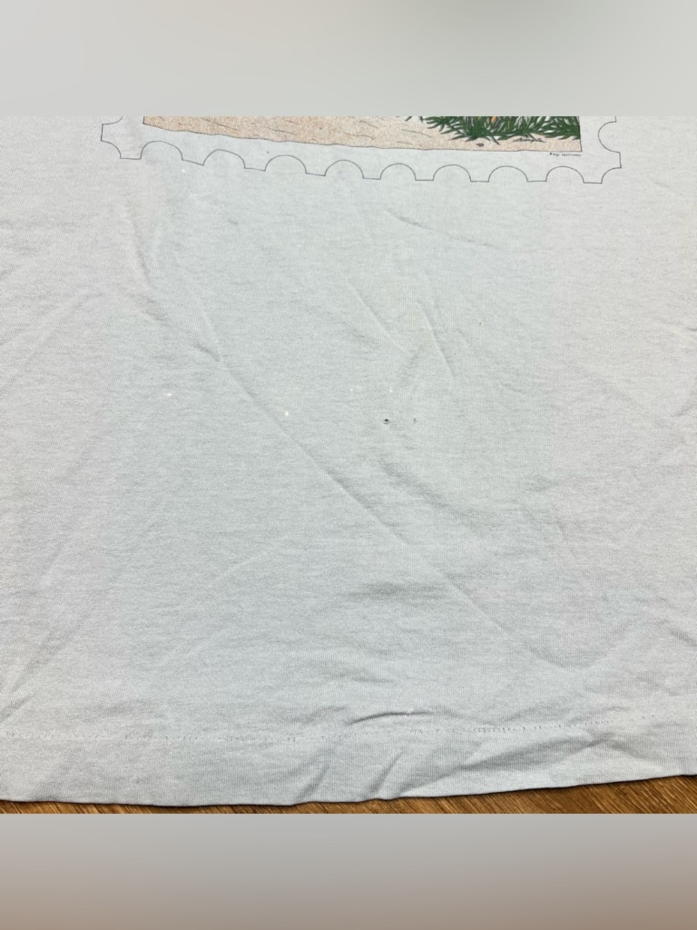 Men’s Vintage Fruit of The Loom T Shirt Single Stitch Blue Graphic T Shirt - Picture 4 of 9